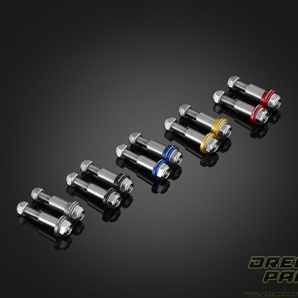 Paire de vis de leviers Bikers