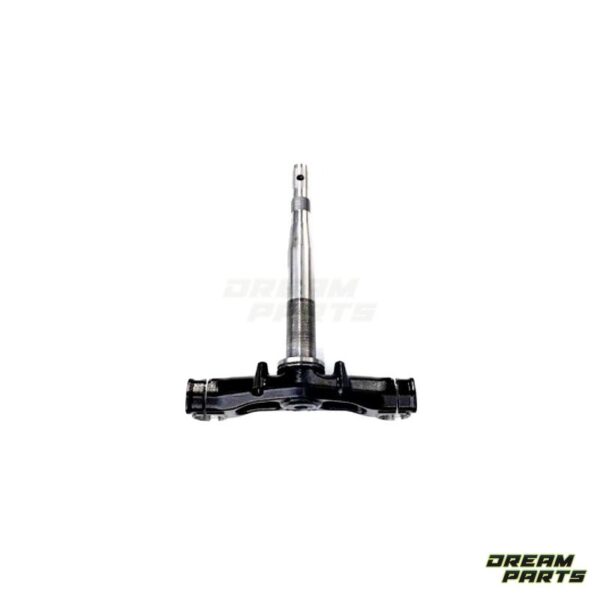 T de Fourches Honda FORZA 350