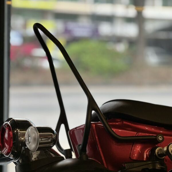 Sissy Bar MotionJ Dax 125